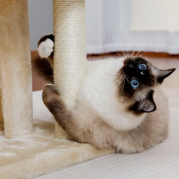 Boerlky модерна мала мачка дрво мачка кула со двојни кондоми пространа перка сисал гребење на натписи ， качување по скалила и заменливи топчиња што висат беж беж