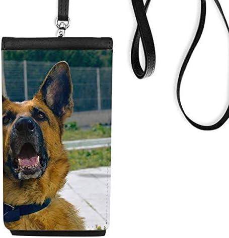 Згодно куче ПЕТ ПЕТ ФОТОГРАФИЈА Телефон Телефон Паричник чанта што виси мобилна торбичка црн џеб