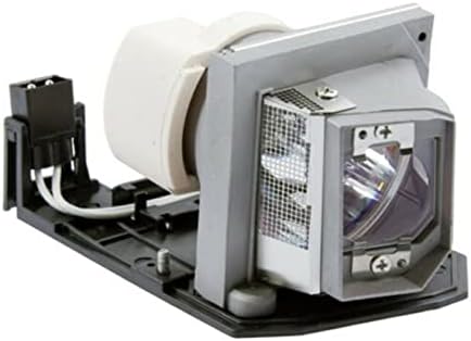 Заменска ламба за замена BL-FP230D специјален надграден дизајн гола сијалица внатре со куќиште за Optoma DH1010 EH1020 EW615